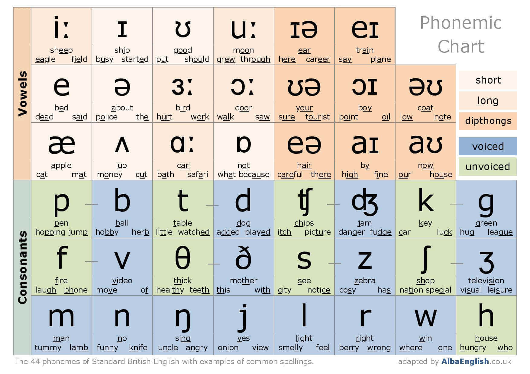 Phonetics and phonology | Mind Map