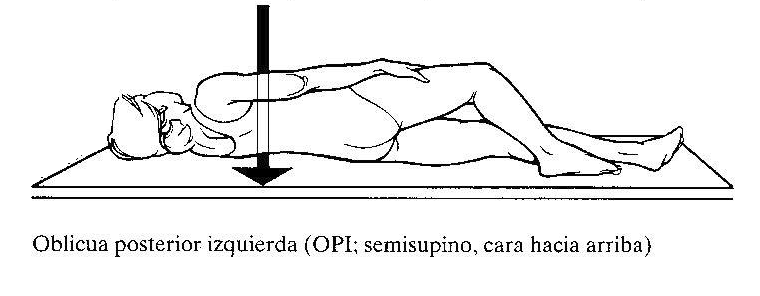 Planos anatómicos, posiciones radiográficas y proyecciones radiológicas ...