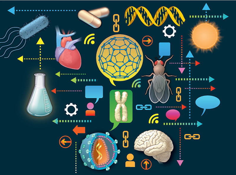 Desarrollo Cientifico Y Tecnologico En El Comportamiento Etico Mind Map