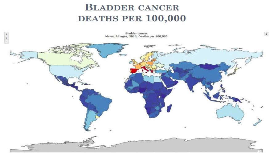 Bladder Cancer | Mind Map