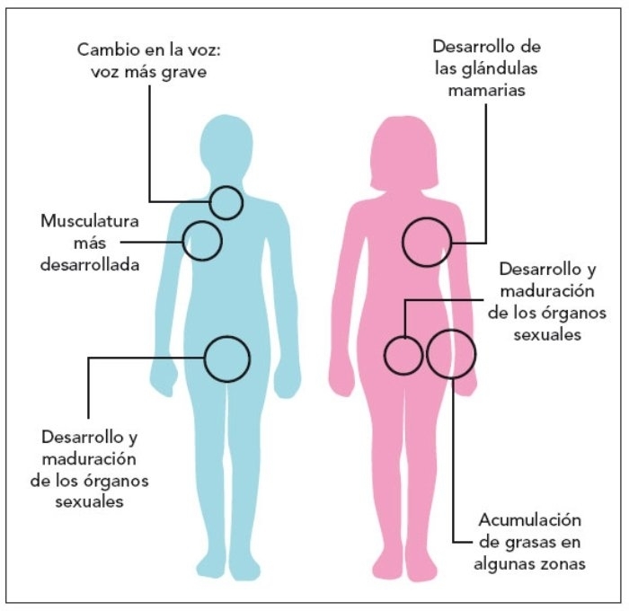 Adolescencia Mapa Mental