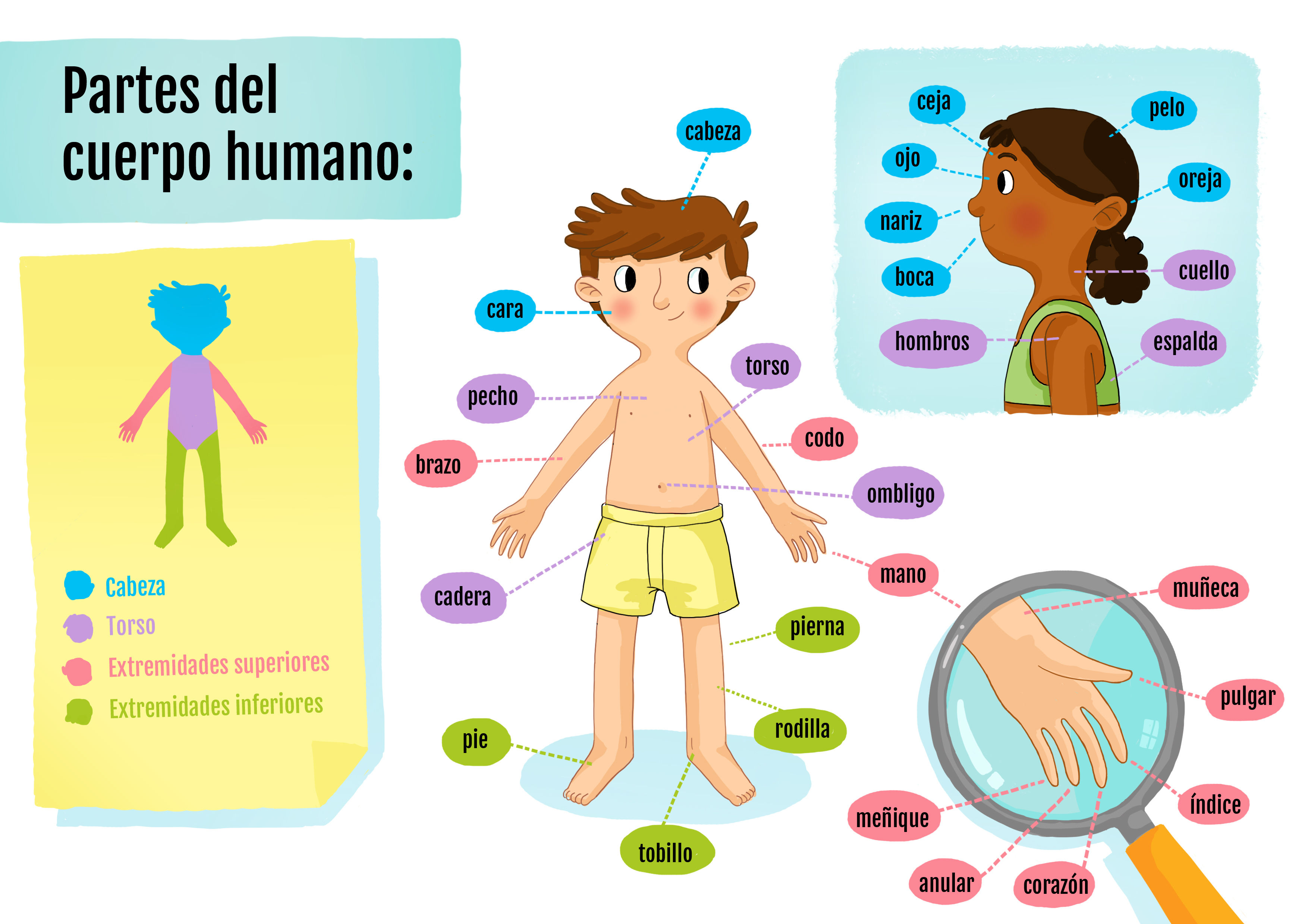 Ejemplos De Proyectos Según Brief Mind Map 9293