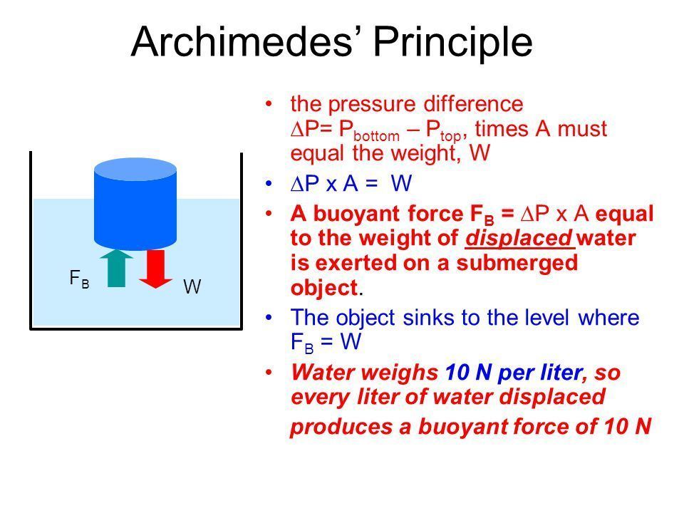 Principle Of Archimedes Mind Map 1541