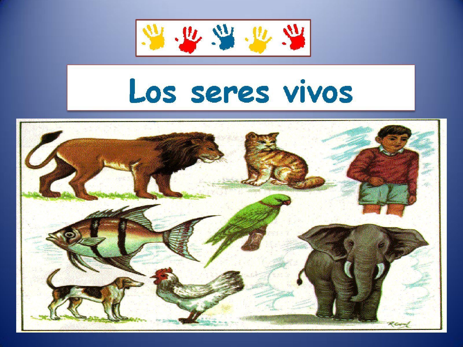 seres vivos | Mind Map