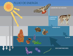 Escenario Natural | Mind Map