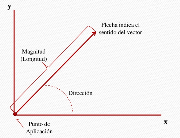 Vectores En R2 Y R3: Expresión Algebraica De Vector, Norma, ángulos ...