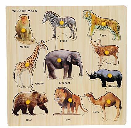 Wild animals | Flashcards