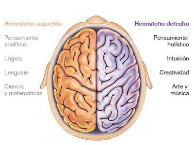 Tony Buzan: Pensamiento Radial | Mind Map