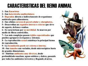 mapa mental animales | Mind Map