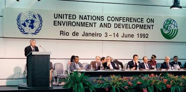 Profesor guirnalda secundario Declaración de Río sobre el Medio Ambiente y el Desarrollo | Mind Map