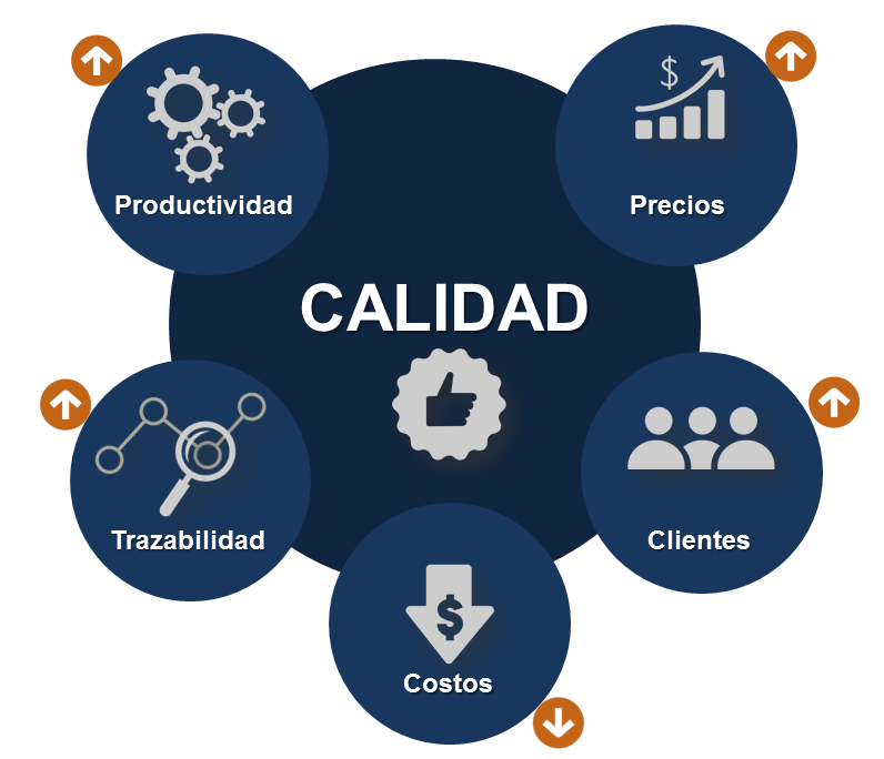 ramas de la ingenieria industrial | Mind Map