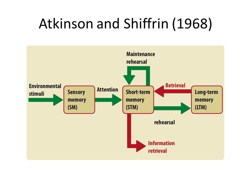 atkinson and shiffrin 1968 experiment