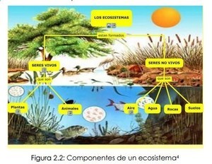 ecosistema terrestre y acuatico