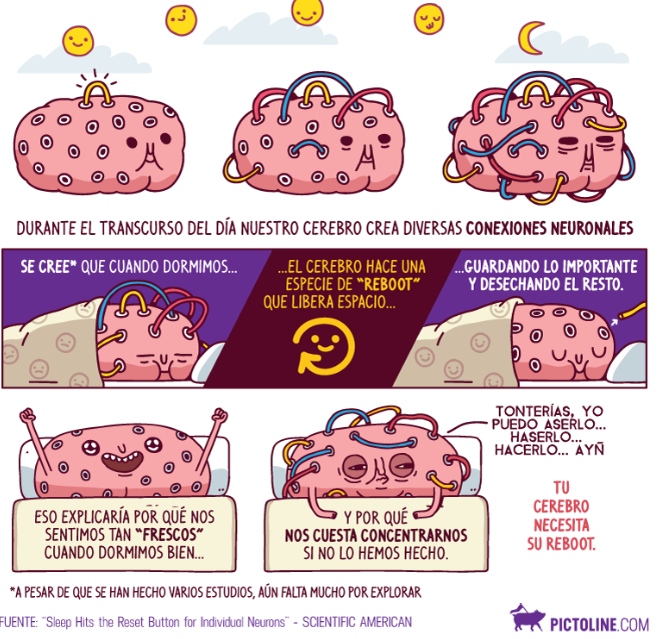 Plano De Análisis Neuronal (físico) 