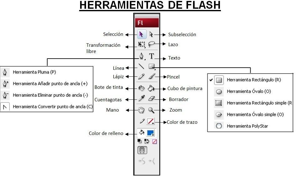 componentes basicos y fundamentos de flash Mind Map