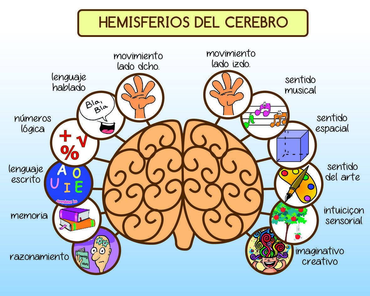 Funciones del hemisferio derecho