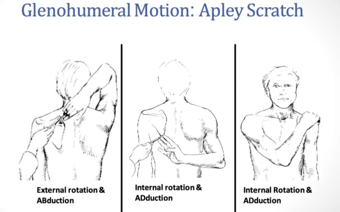 Upper Extremity Lab | Flashcards