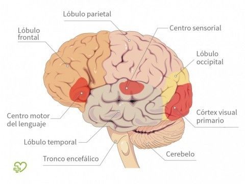 Los 5 Sentidos Y El Comportamiento Del Consumidor 