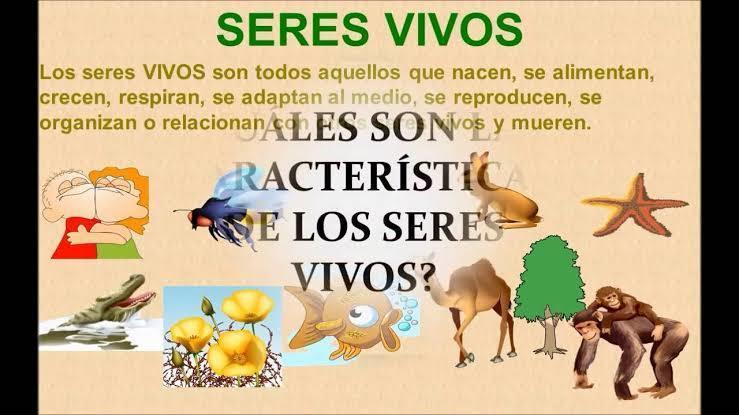 seres vivos | Mind Map