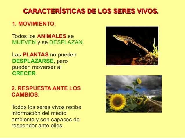 LOS SERES VIVOS 3 | Slide Set