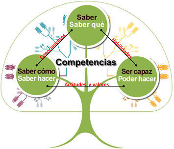 Enfoque De Competencias Y Habilidades Del Pensamiento | Mind Map