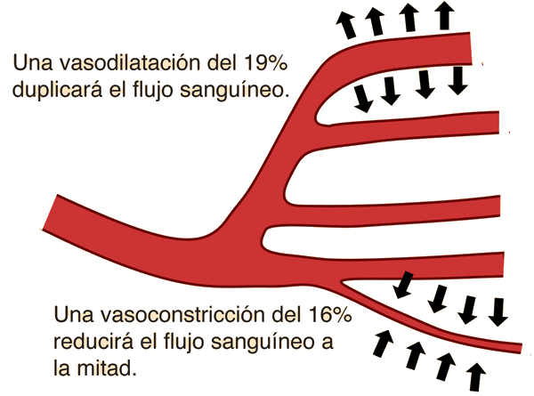 Leyes De Flujo SanguÍneo Mind Map 5583