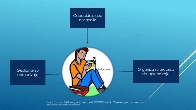 COMPETENCIAS DEL CNB | Flowchart