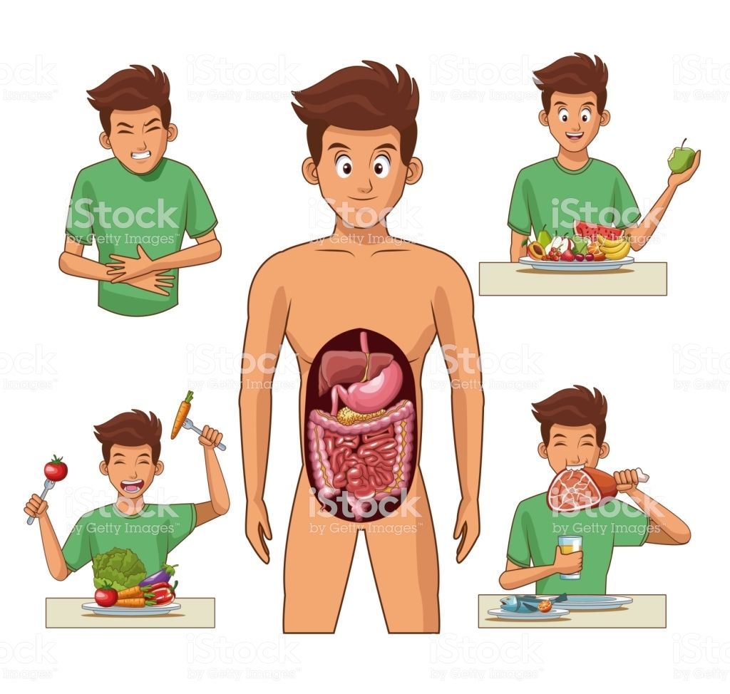 Introduccion al Sistema Digestivo | Mind Map