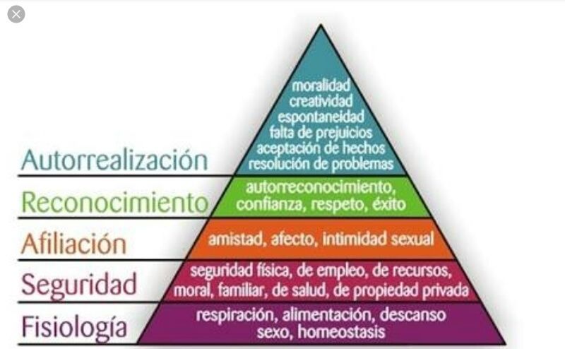 Estructura funcionalismo | Mind Map