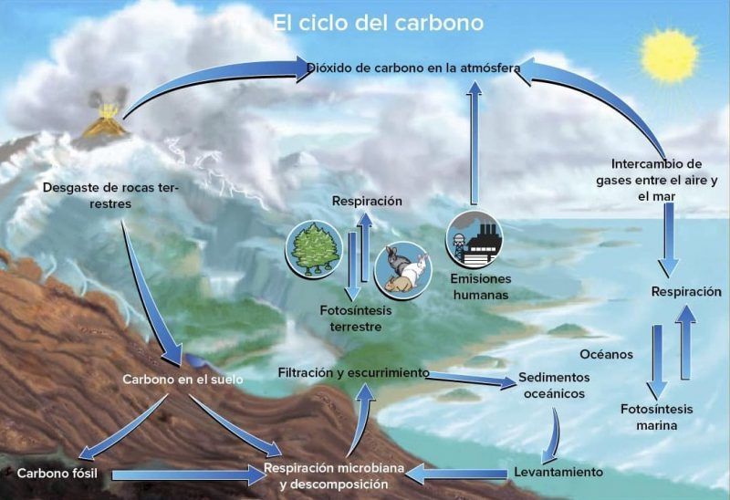 THE CO2 | Mind Map