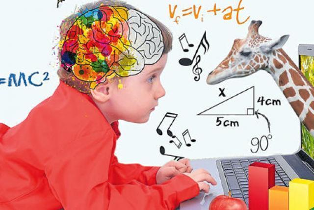 Capacidad cerebral en la primera infancia