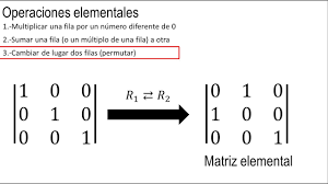 matriz elemental | Mind Map