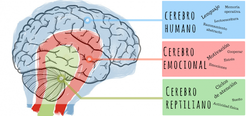 Características de la Inteligencia Humana | Mind Map