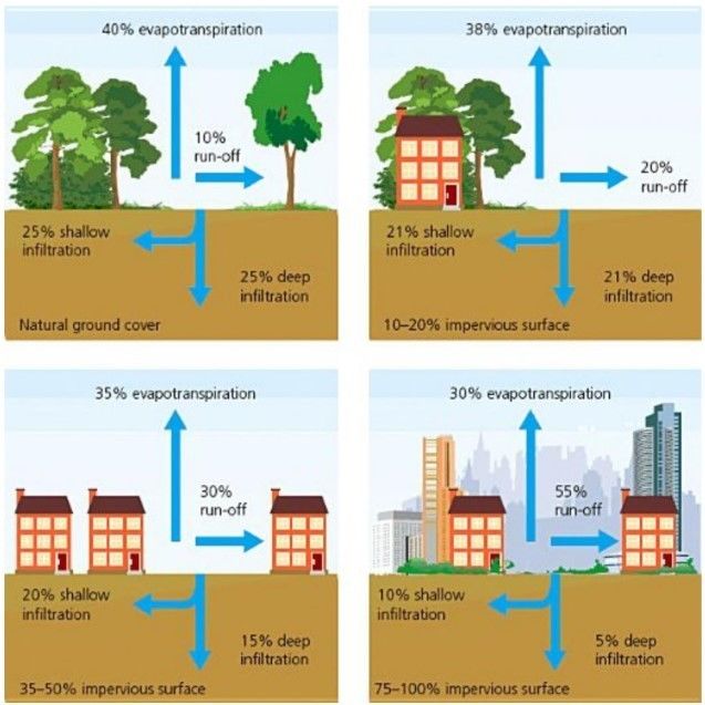 The Impact of Urbanisation on Hydrological Processes Mind Map | Mind Map