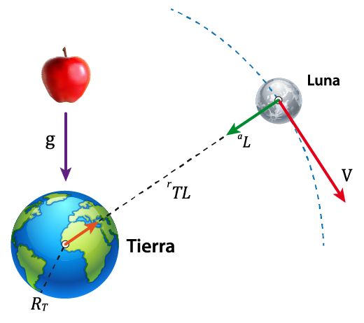 FUERZAS QUE RIGEN EL UNIVERSO - FUERZA Y MOVIMIENTO | Mind Map