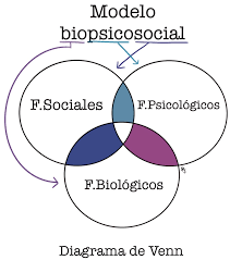 Fundamentos Biológicos de la Conducta. | Flashcards