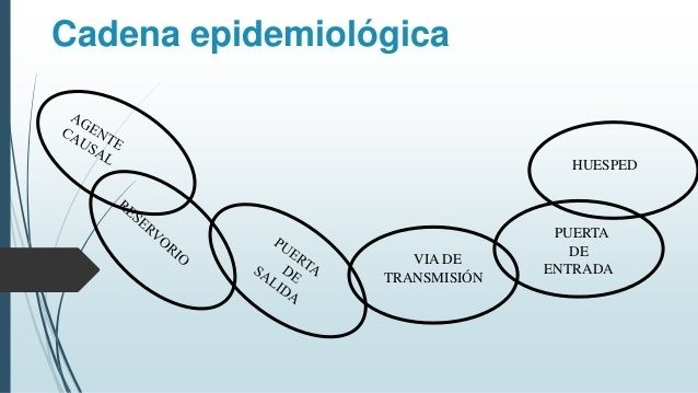 Fisiopatolog A Mind Map