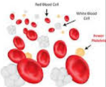 Modelo celular de la hemostasia yutilidad del factor VII ...