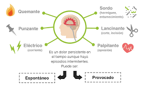 Trombosis Venosa Profunda Mind Map