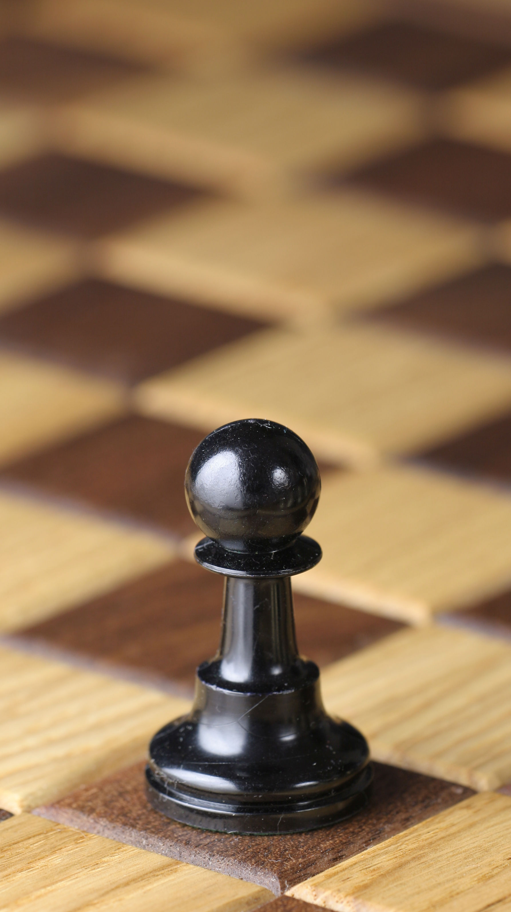 XSWZAQ Juego de ajedrez cuadrado: un tablero de ajedrez que mueve las  piezas de ajedrez de