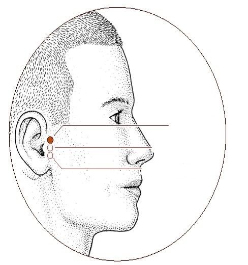 San Jiao Points | Flashcards