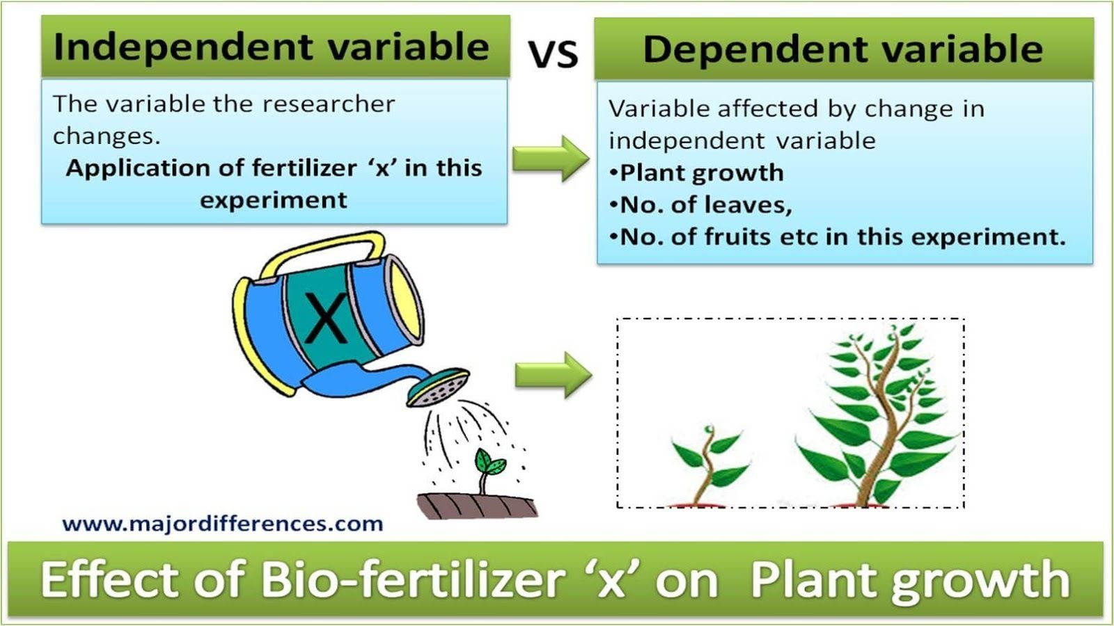 Scientific Methods Variables   Flashcards