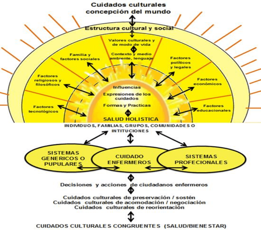 MADELEINE LEININGER "TEORIA DE LA DIVERSIDAD Y LA UNIVERSALIDAD DE LOS ...