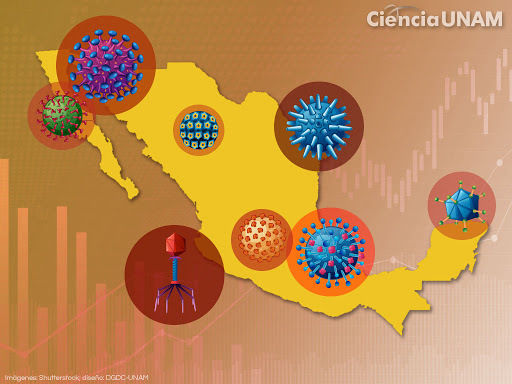 Programa Sectorial De Salud 2019-2024 | Mapa Mental