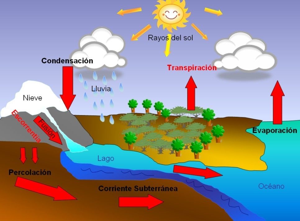 CICLO BIOGEOQUÍMICO DEL MERCURIO | Mind Map