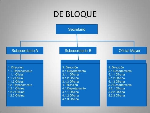 CLASIFICACION DE LOS ORGANIGRAMAS | Mind Map