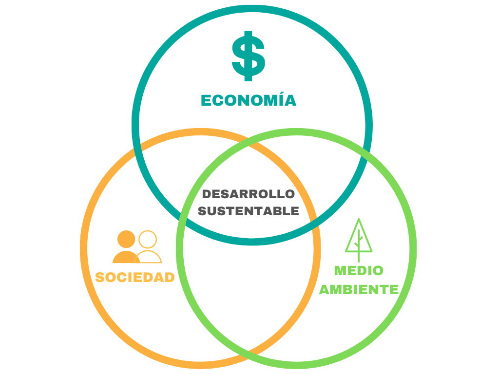 Ejes Y Principios Del Desarrollo Sustentable | Mind Map