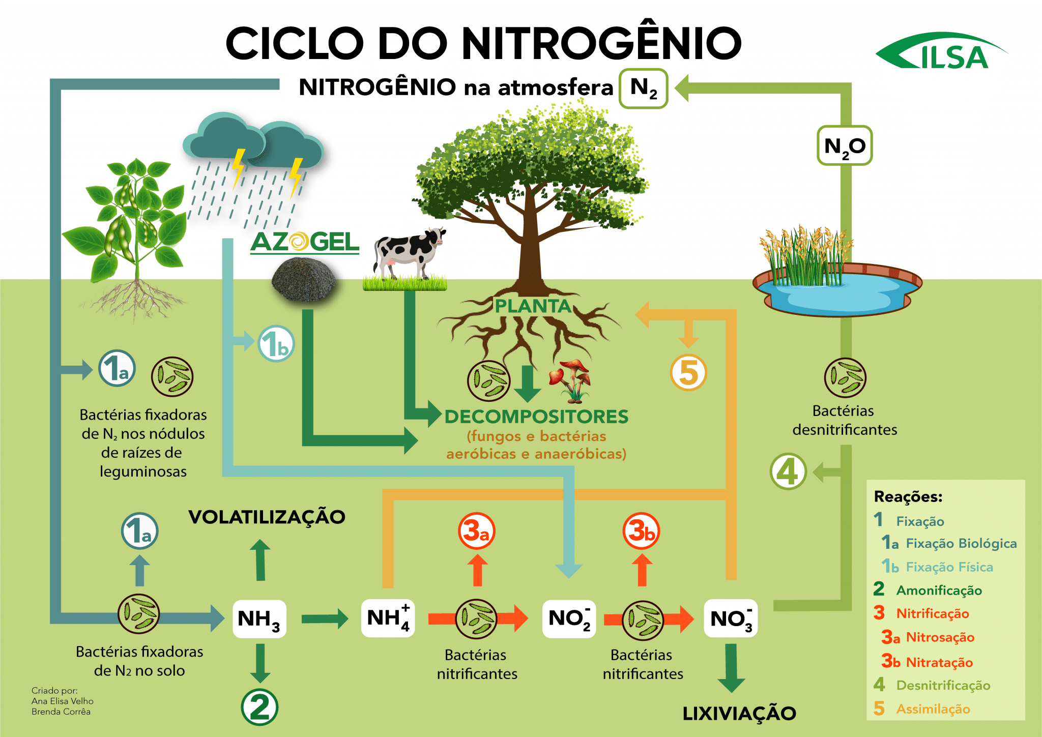 CICLOS BIOGEOQUÍMICOS | Mind Map