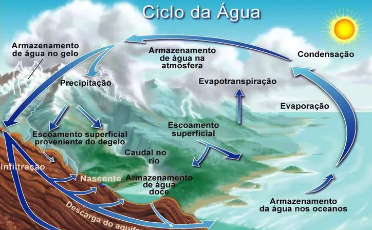 CICLOS BIOGEOQUÍMICOS | Mind Map