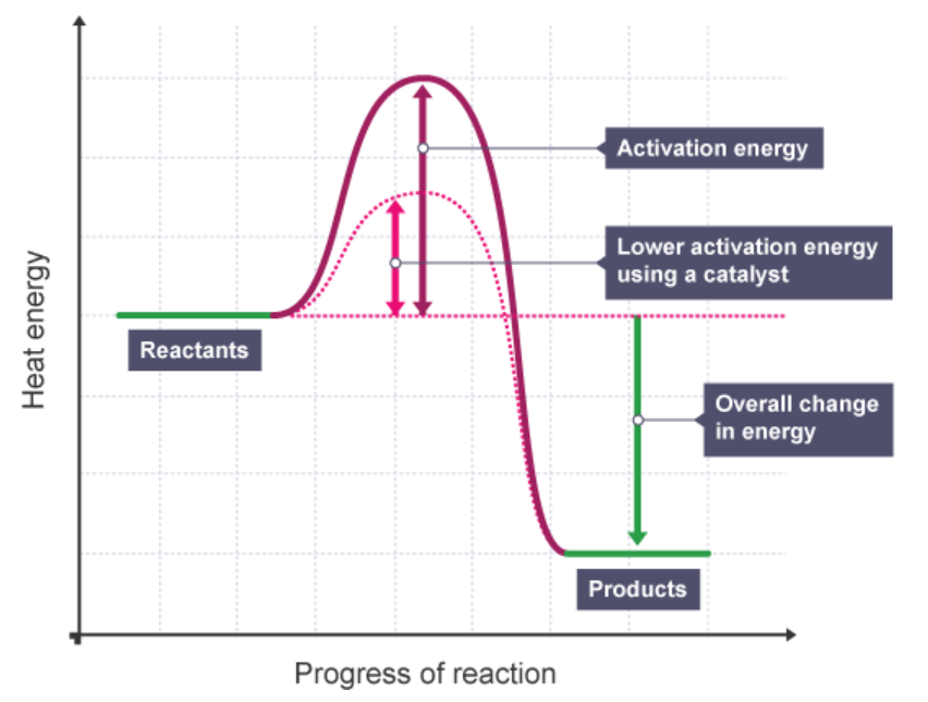 Rates of Reaction | Mind Map